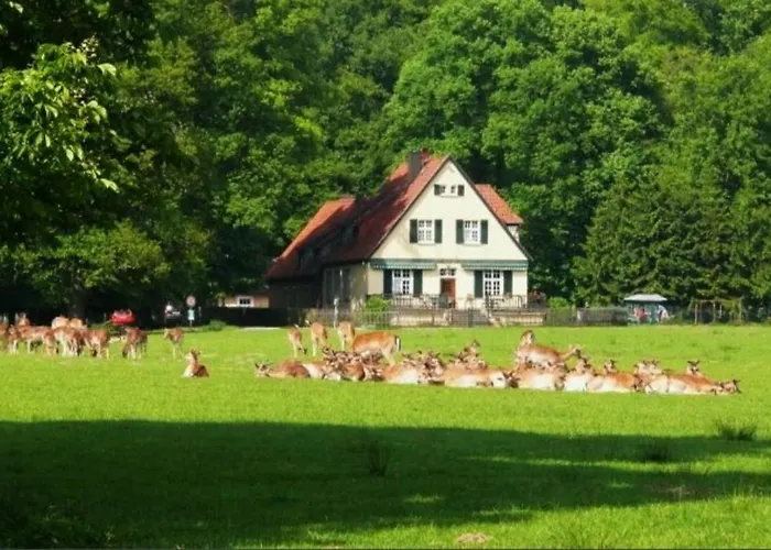 City-apartment * Dülmen